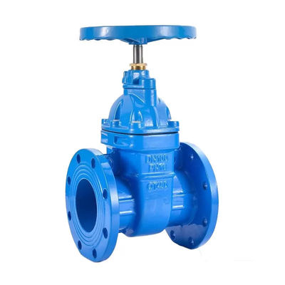 DN40-DN1200 Cast Iron Resilient Seat Gate Valves OEM Anti Corrosion Coating