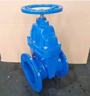 Industry Water Valve Resilient Seat Soft Flange Water Control Cast Iron Gate Valve