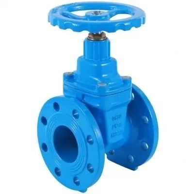 Industry Water Valve Resilient Seat Soft Flange Water Control Cast Iron Gate Valve