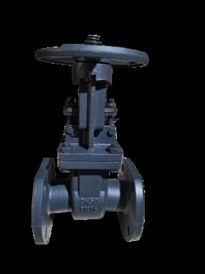Bolted Bonnet Cast Iron Gate Valve with API 598 Standard and ASME B16.10 Dimensions for ≤120℃ Applications