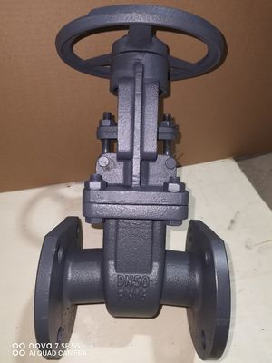 GOST Gate Valve DN50 PN16 Cast Steel for Oil Gas Water